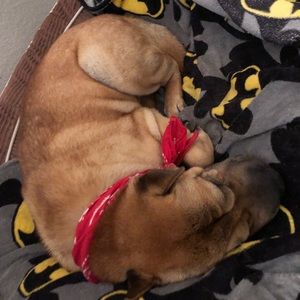 Meet your Posher, Nancy